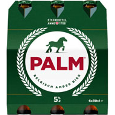 Productafbeelding Palm Bier Fles